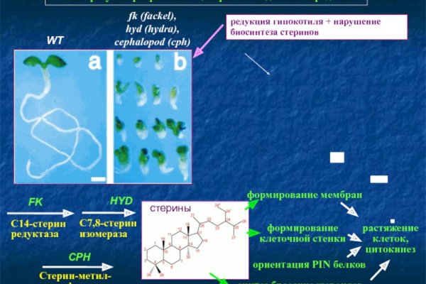 Кракен тор ссылка магазин