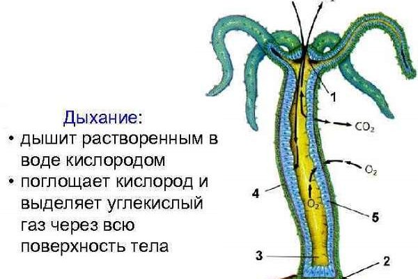 2krn at что такое