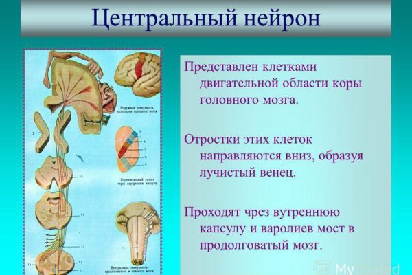 Кракен маркетплейс ссылка тг