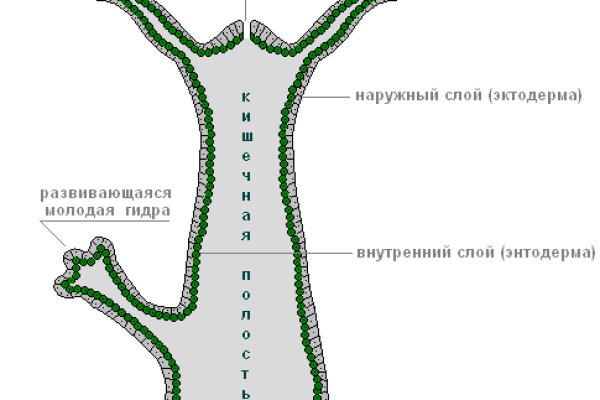 Kraken tor ссылка kraken014 com