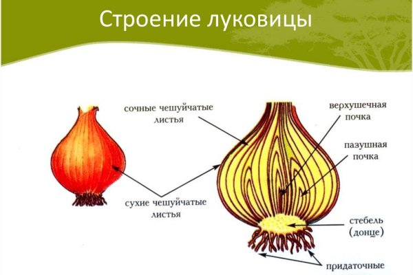 Что продает кракен